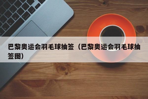 巴黎奥运会羽毛球抽签（巴黎奥运会羽毛球抽签图）